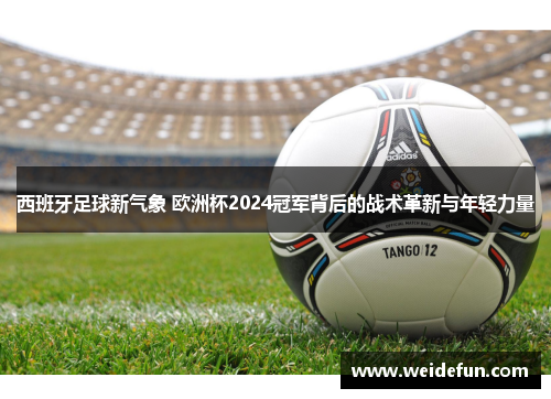 西班牙足球新气象 欧洲杯2024冠军背后的战术革新与年轻力量