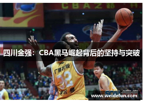 四川金强：CBA黑马崛起背后的坚持与突破